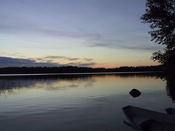 Järvi