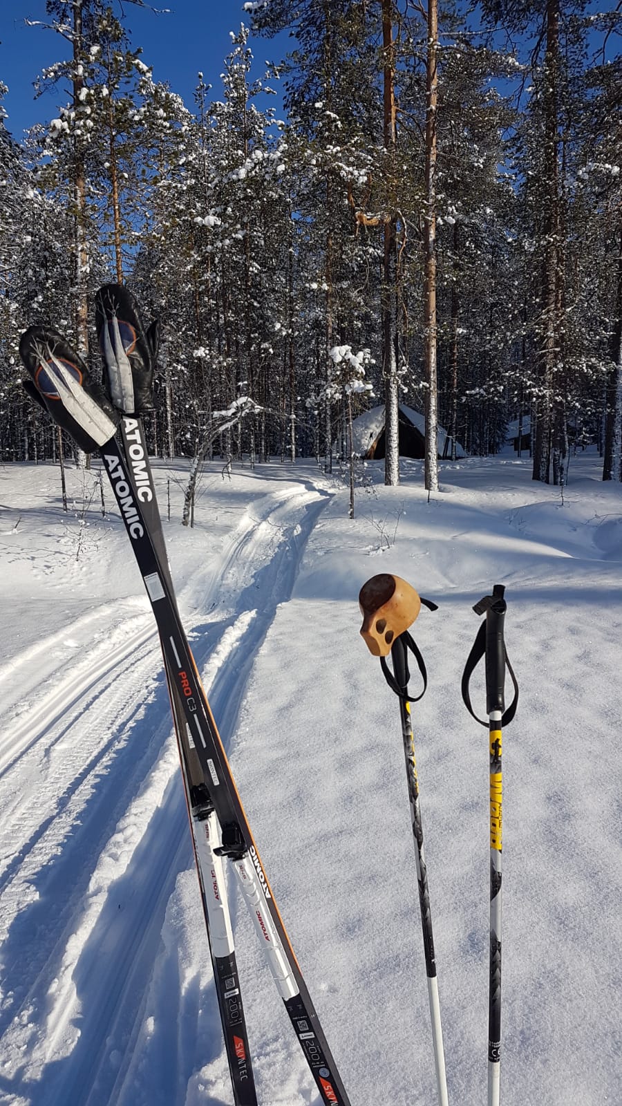 Salmisen laavu talvella